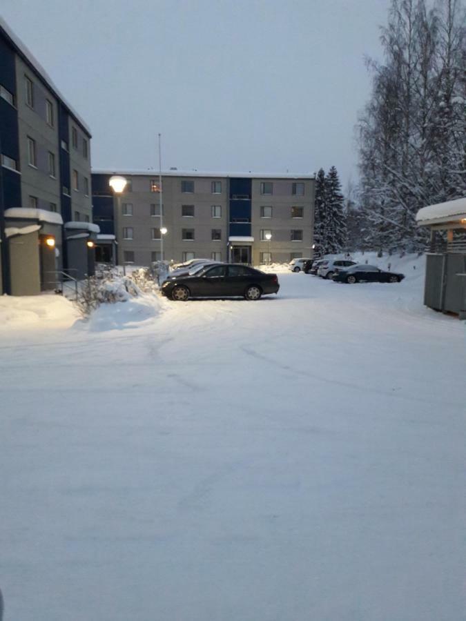 Apartment Kivistoe, 2 Km From Centrum, Free Wifi And Parking, No Smoking, Allergenes Jyvaskyla Exterior photo